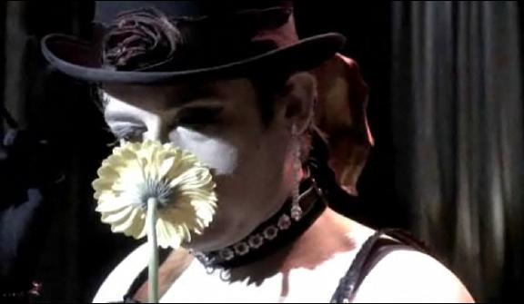 2010 Caprica - Cereberus Smells the Sunflower 2010 Caprica - Cereberus Smells the Sunflower