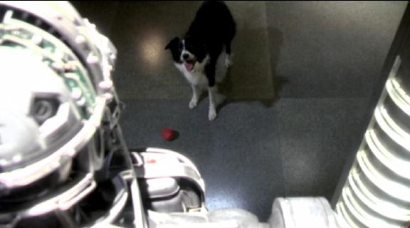 2010 Caprica - Imperfections - Ceasar the dog wants Zoe to Play 2010 Caprica - Imperfections - Ceasar the dog wants Zoe to Play
