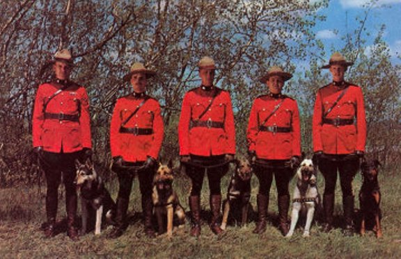 Click to visit the Canadian Royal Mountied Police